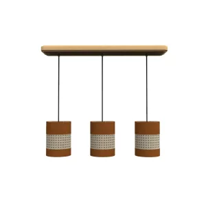 3 suspensions palmier