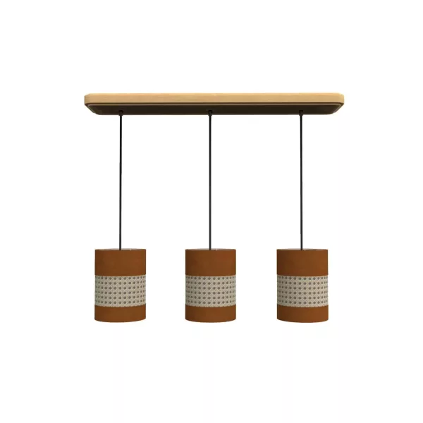 3 suspensions palmier